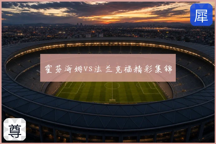 霍芬海姆vs法兰克福精彩集锦